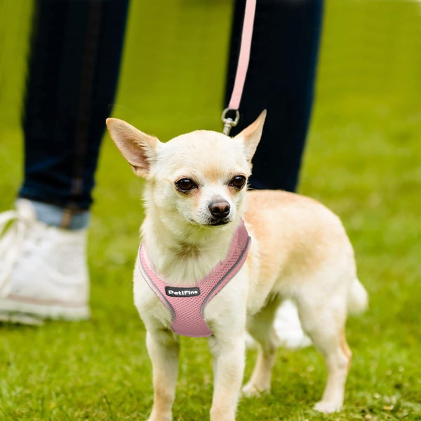 Small Dog Harness and Leash Set Breathable Step-In Puppy Cat Harness,Xs | Reflective for Safe Easy Walking,Soft Light Puppy Vest,Escape Proof,No Pull Harness for Dogs,All Weather Air Mesh Harness8