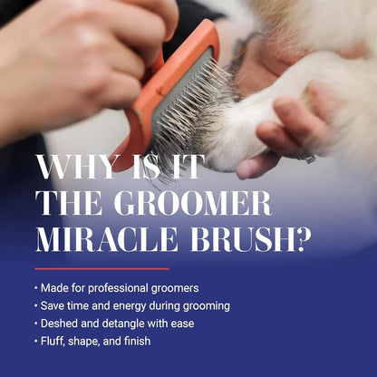 Chris Christensen Big G Dog Slicker Brush for Dogs (Goldendoodles, Labradoodles, Poodles), Groom like a Professional, Fluff Detangle Style, Saves Time Energy, Coral, Large2