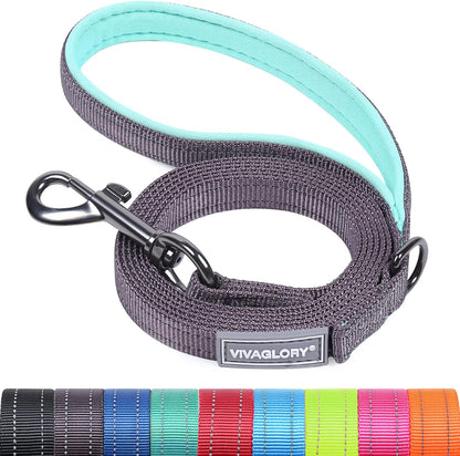 VIVAGLORY Dog Leash Puppy Leash for Collar, 3Ft X 1In, Black | with Soft Padded Handle for Training & Walking, Heavy Duty & Double Layer Nylon Pet Puppy33
