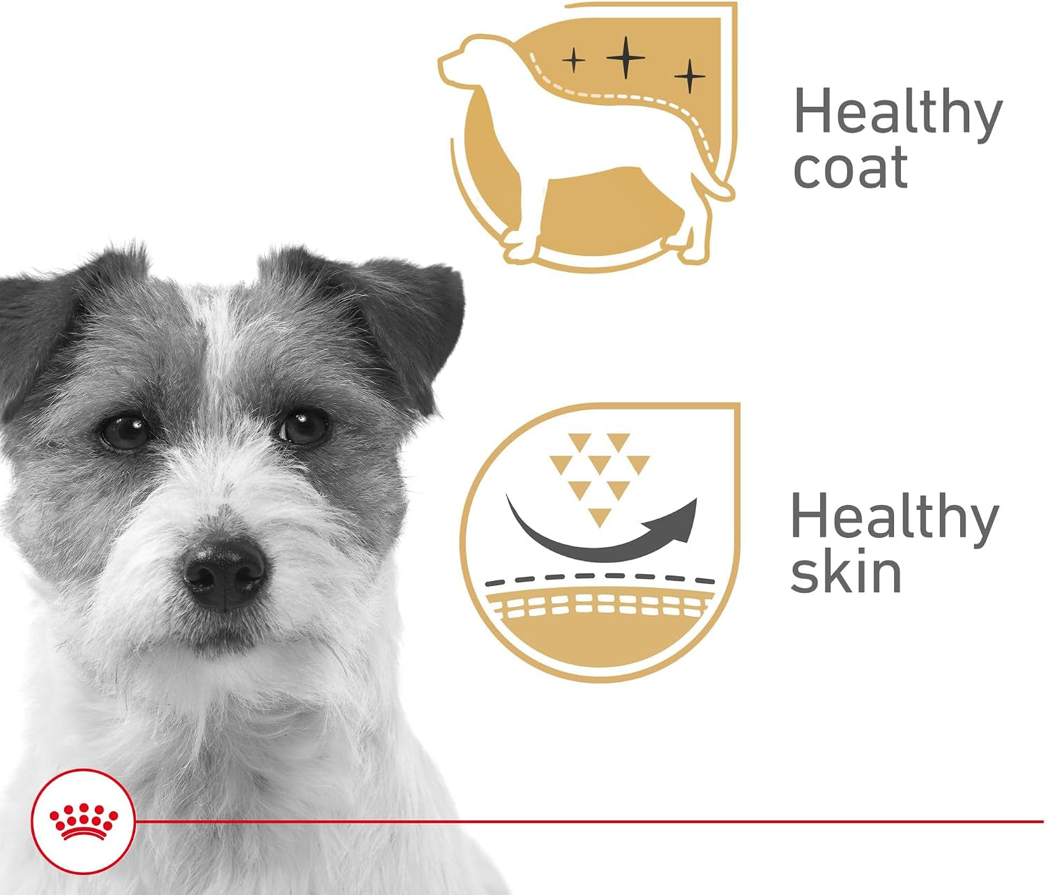 royal-canin-canine-health-nutrition-adult-beauty-loaf-in-sauce-dog-food-5-2-oz-pack-of-24