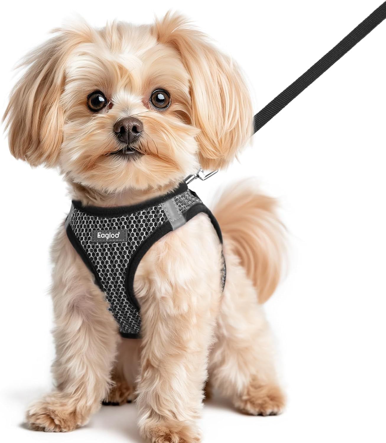 eagloo-small-dog-harness-and-leash-set-step-in-small-sized-puppy-pet-vest-light-soft-breathable-air-mesh-easy-on-and-off-with-hook-loop-reflective-for-safe-walking-pink-s