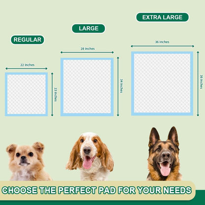 IMMCUTE Puppy Pads 22"X23" 100 Count | 6-Layer Leak-Proof & Super Absorbent Dog Training Pads | Disposable Potty Pads for Puppies, Dogs, Cats & Rabbits | Blue & White6