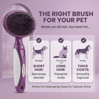 Round Bristle Pet Brush for Dogs and Cats - Soft Dog Brush for Grooming Short or Long Hair - Gentle Tool for Sensitive Skin Removes Dander, Dirt, and Detangles (Purple)4