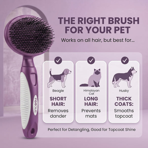Round Bristle Pet Brush for Dogs and Cats - Soft Dog Brush for Grooming Short or Long Hair - Gentle Tool for Sensitive Skin Removes Dander, Dirt, and Detangles (Purple)4