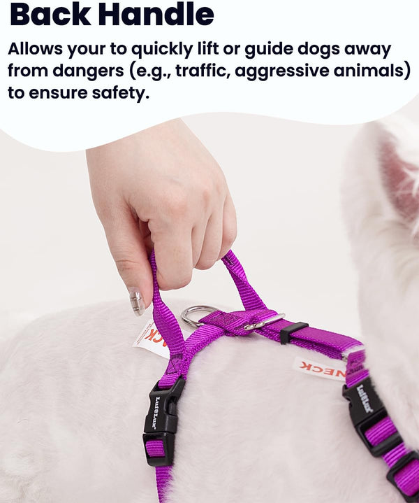 No Pull Dog Harness, Small, Purple/Black | Non Restrictive, Neck Buckle Design, Six Points Adjustment, Lightweight Easy Walk, Small Dogs Chest(17-23Inches)5