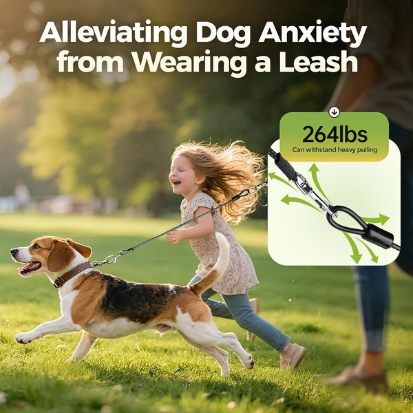 Chew Proof Dog Leash, 2 Pack Metal Cable Lead Collar Extender Non-Tangle Connect Dog Leash for Teething Puppies Small Medium and Large Dogs for Collars and Harnesses (5Mm, M)4