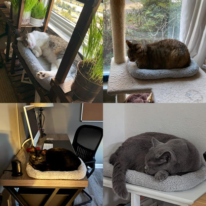 LESYPET Cat Bed for Indoor Cats, Soft Cat Cushion with Cat Pillow Around, Rectangle Kitten Pad Small Bed for Window Sill, 15'' X 10''2