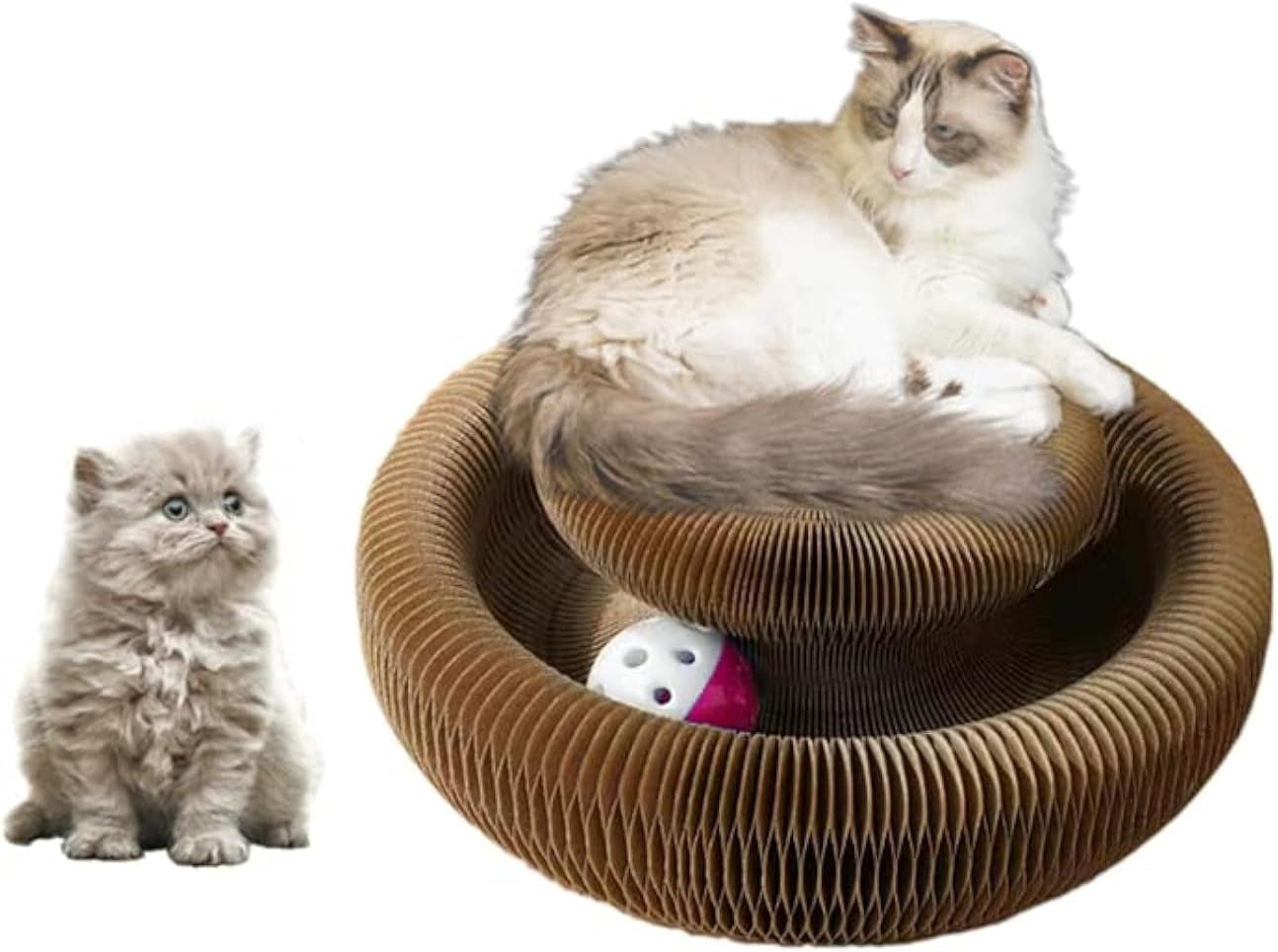 enkman-kitty-kurlz-magic-organ-cat-scratcher-board-cat-ball-adventure-the-ultimate-interactive-mental-physical-exercise-for-indoor-cats-toy