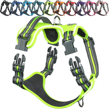 VIVAGLORY No Pull Dog Harness Vest Harness, L, Orange - Patterned | with Handle Front and Back Clip for Training & Pulling, No Pull & Escape Proof Padded Adjustable for Pet Puppy26