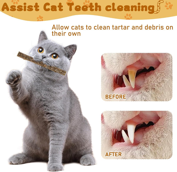 Wolover Silvervine Sticks for Cats, Natural Catnip Matatabi Chew Sticks Teeth Molar Chew Toys for Cat Kitten Kitty (At Least 12 PCS)5