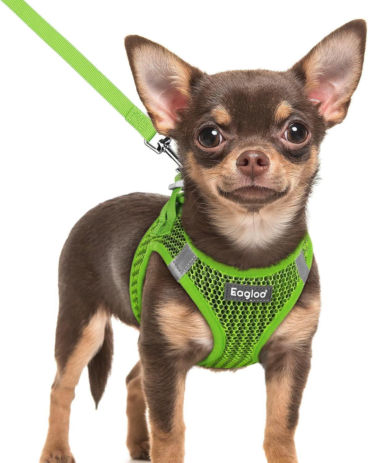 eagloo-small-dog-harness-and-leash-set-step-in-small-sized-puppy-pet-vest-light-soft-breathable-air-mesh-easy-on-and-off-with-hook-loop-reflective-for-safe-walking-pink-s