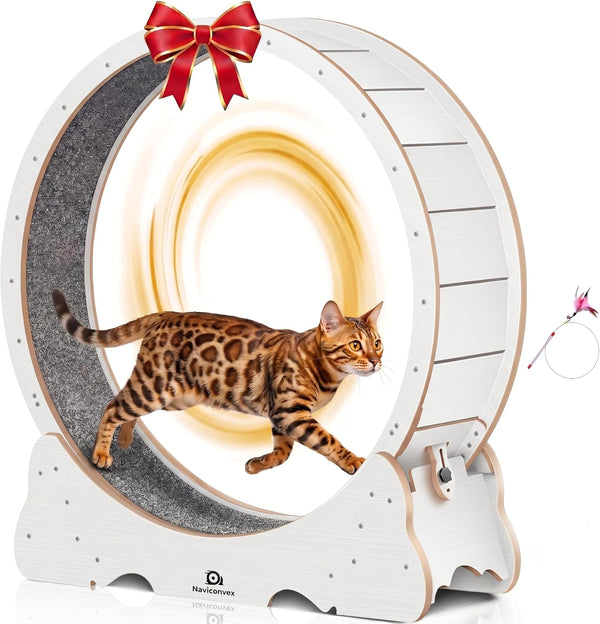Cat Wheel, 46" XL Large Exercise Running Wheels with Detachable Carpet for Indoor Cats11