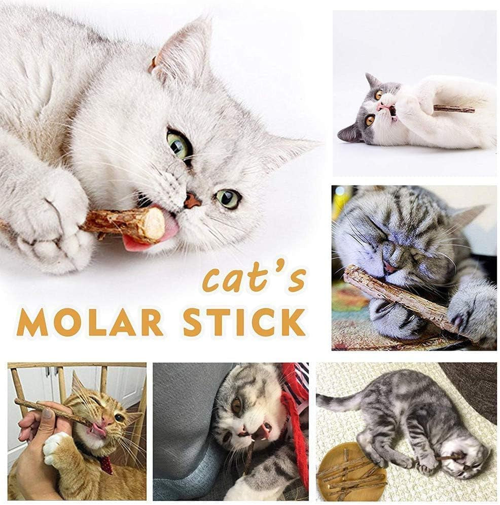 ailuki-35pcs-cat-toys-variety-pack-for-indoor-cats-kitten-toys-set-with-collapsible-cat-tunnel-feather-wand-plush-mice-crinkle-balls-interactive-cat-toys-bundle-storage-bag