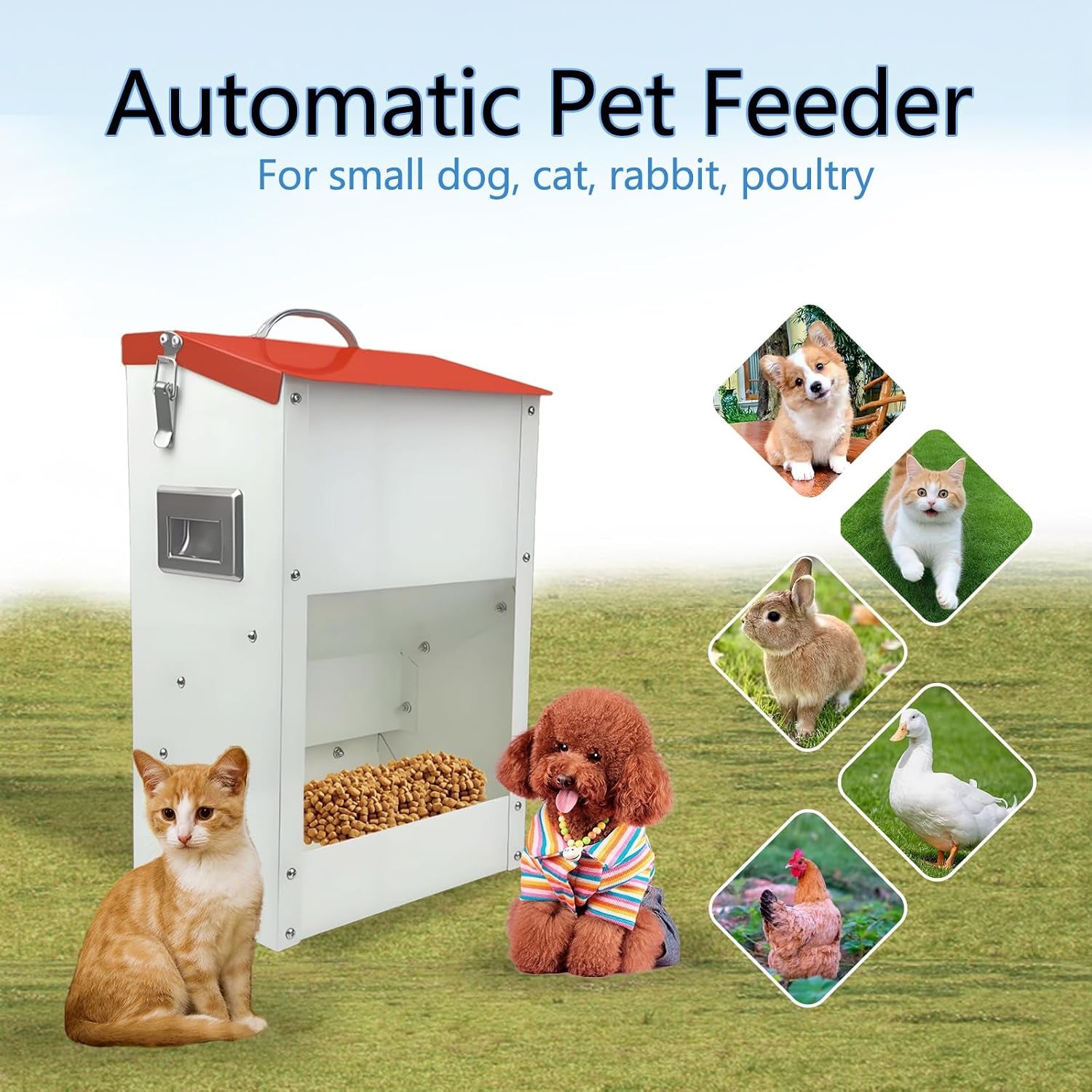 gravity-automatic-cat-feeder-galvanized-small-animal-feeding-trough-food-dispenser-for-cats-puppy-13l-outdoor-pets-feeder