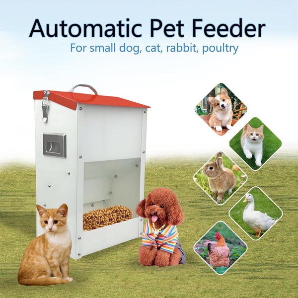 Gravity Automatic Cat Feeder Galvanized Small Animal Feeding Trough Food Dispenser for Cats Puppy 13L Outdoor Pets Feeder6