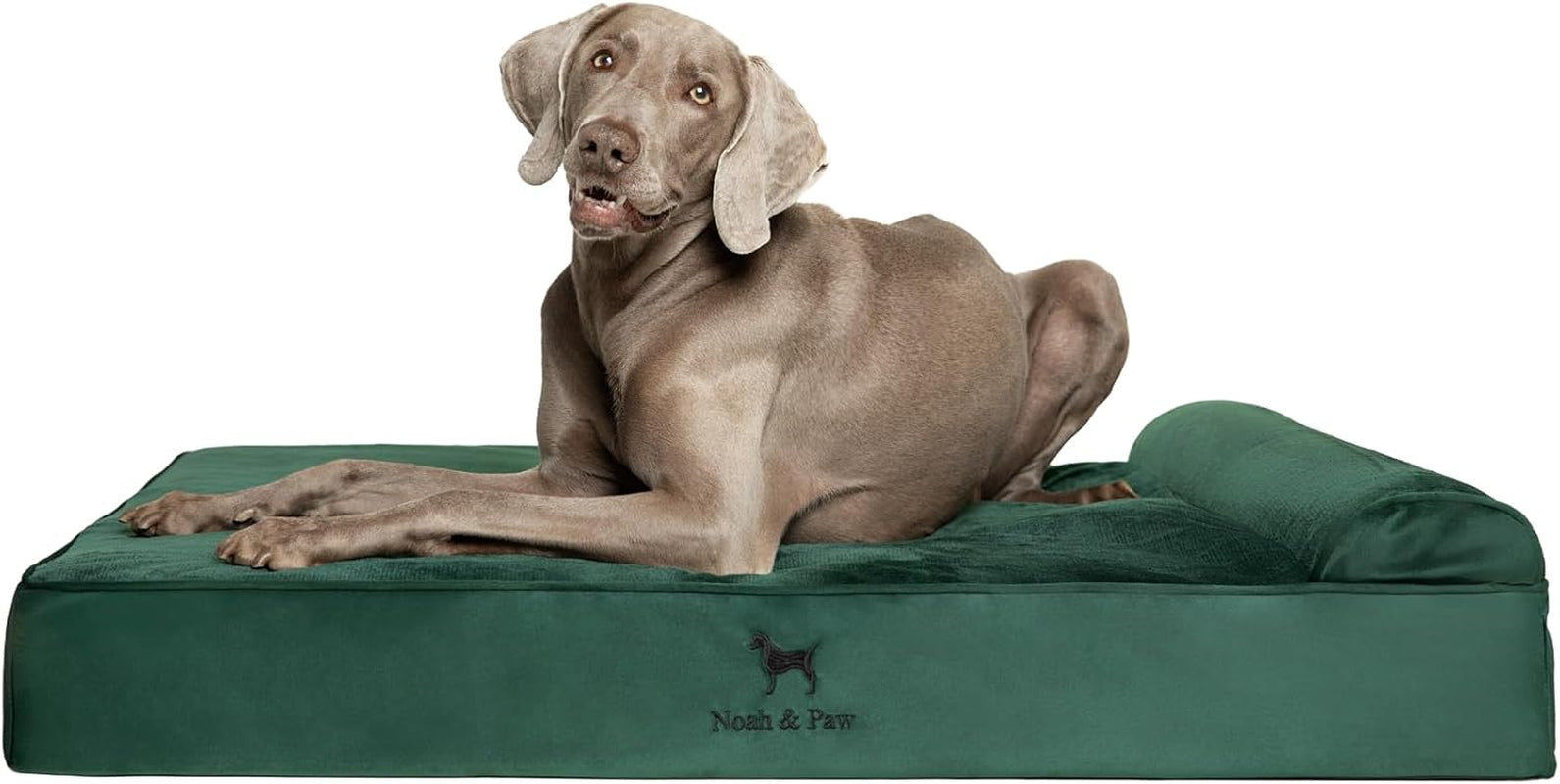 noah-paw-large-dog-bed-35x25x8-7-inch-orthopedic-dog-beds-eggshell-memory-foam-infused-with-cooling-gel-water-resistant-machine-washable-includes-inner-cover-velvet-collection