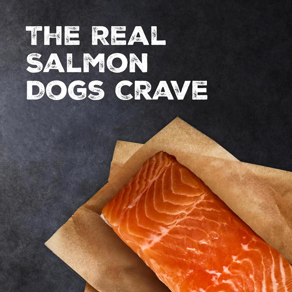 Blue Buffalo Wilderness Salmon Crunchy Dog Biscuits, Grain-Free, 24 Oz | Real Salmon #1 Ingredient, High Protein Dog Treats, No Artificial Preservatives3