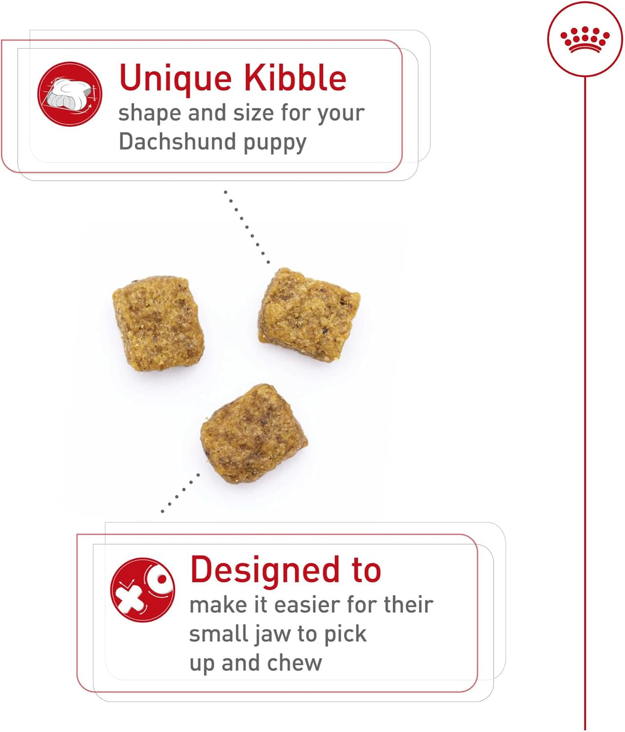 royal-canin-breed-health-nutrition-dachshund-puppy-dry-dog-food-2-5-lb-bag-specialized-nutrition-for-dachshund-puppies-supports-healthy-growth-tailored-kibble-shape-2-5-pound-bag