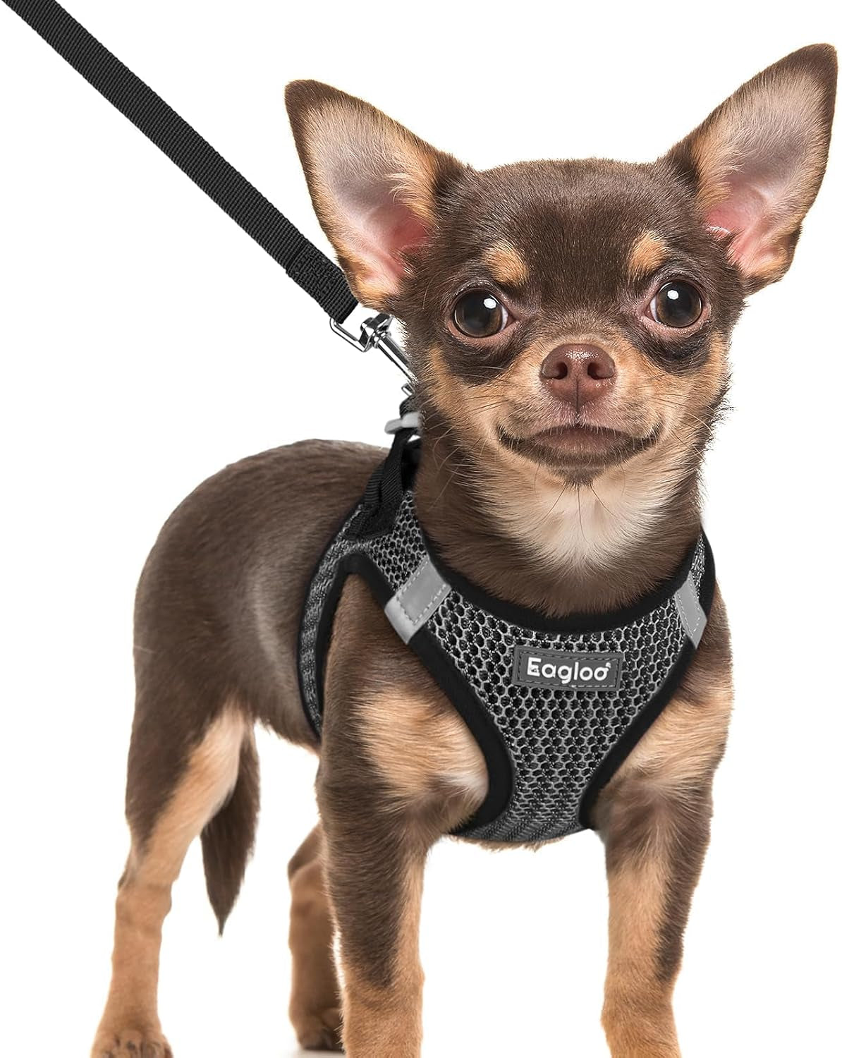 eagloo-small-dog-harness-and-leash-set-step-in-small-sized-puppy-pet-vest-light-soft-breathable-air-mesh-easy-on-and-off-with-hook-loop-reflective-for-safe-walking-pink-s