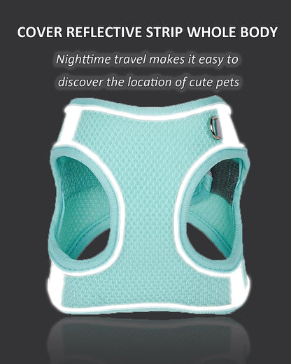SOLMOONY Dog Harness for Small Medium Large Dogs No Pull, Puppy and Leash Set, Dogs, Step in Harness, Mesh Harness. (Pink, XS)4