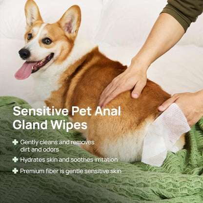 HICC PET Rear-End & External Anal Area Cleaning Deodorizing Wipes | Hydrating & Nourish Fur Dogs & Cats Grooming Wipes for Daily Cleaning2
