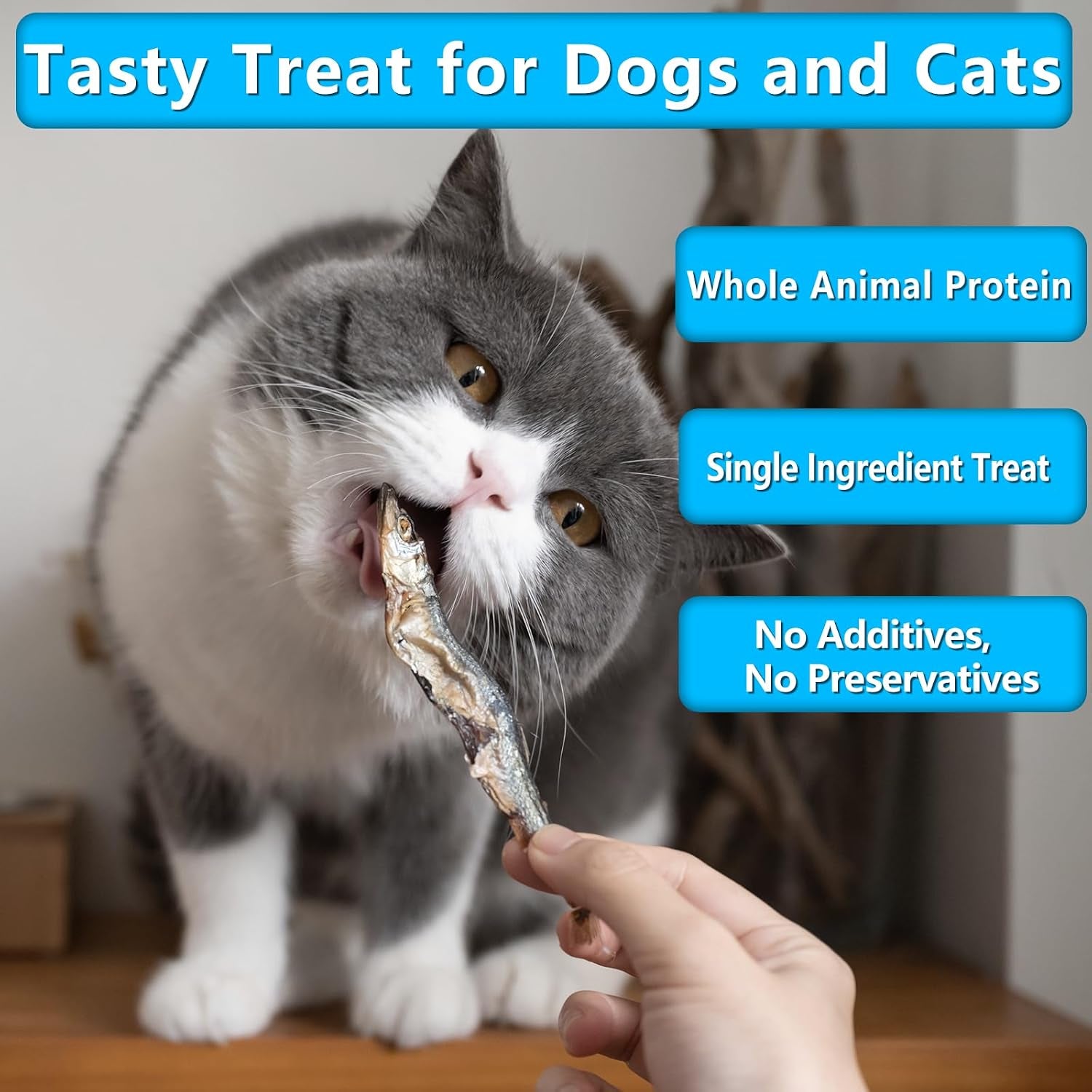 minnows-dog-treats-single-ingredient-dried-minnows-for-dogs-cats-air-dried-grain-free-high-protein-100-natural-premium-cat-dog-treats-4-5-oz