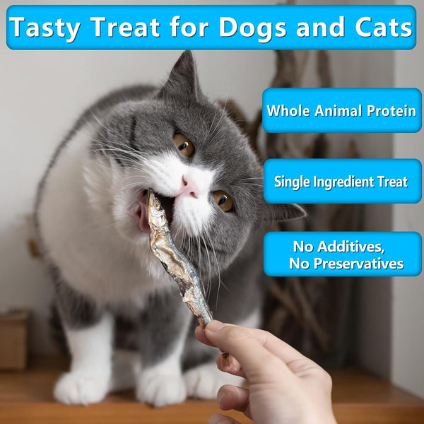 Minnows Dog Treats, Single Ingredient Dried Minnows for Dogs & Cats, Air Dried, Grain-Free, High-Protein, 100% Natural Premium Cat & Dog Treats 4.5 Oz3