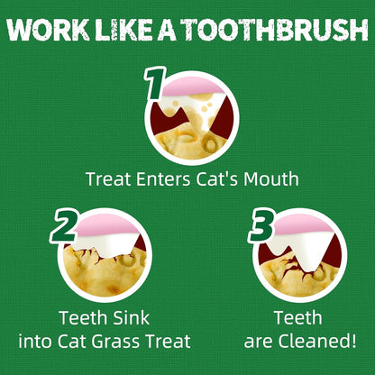 Just Try Cat Treats for Indoor Cats Hairball Control Natural Salmon Healthy Cat Grass Treats Kitten Snacks Training Biscuits Catnip for Cats Dental Care 13.4 OZ5