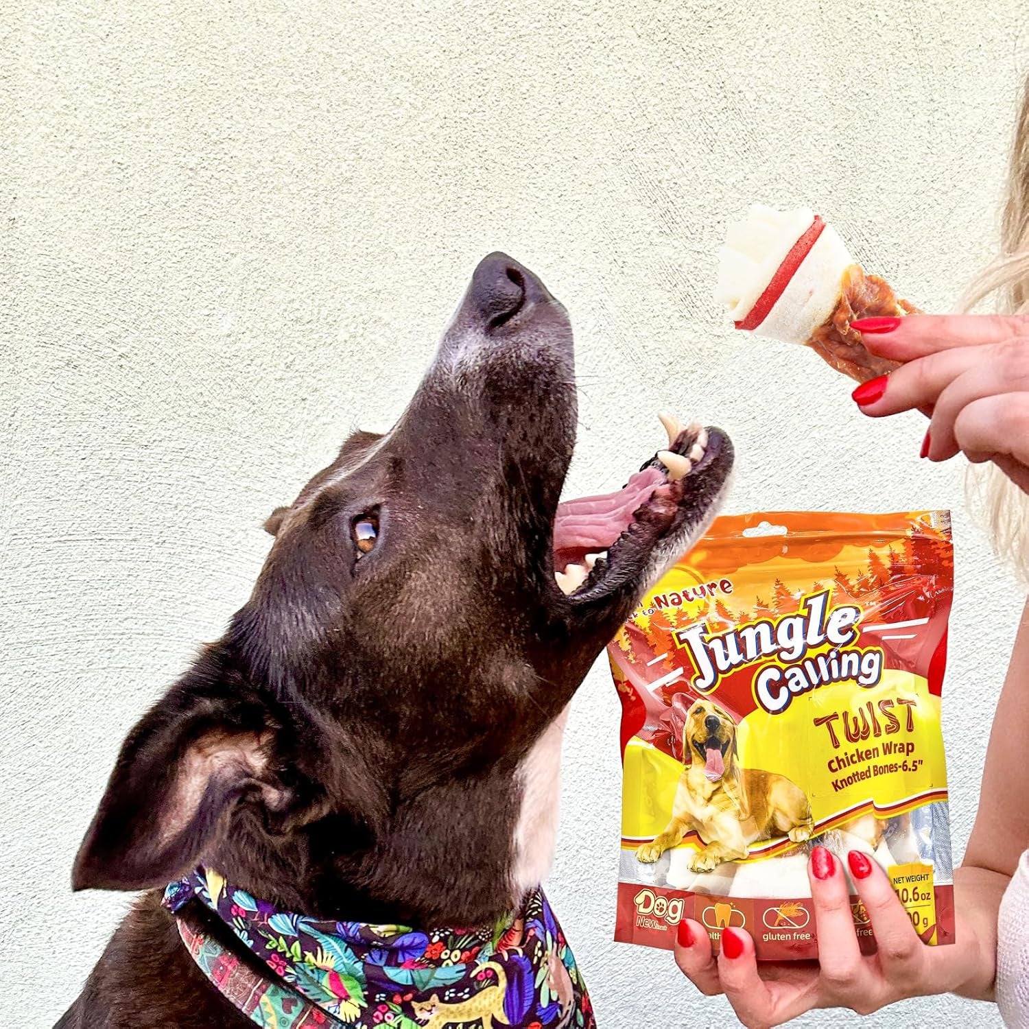 jungle-calling-chicken-wrapped-rawhide-knot-bones-long-lasting-dog-chews-6-5-inch-rawhide-bones-for-medium-large-dogs-high-protein-beefhide-training-dog-treats-teeth-cleaning-10-6-oz