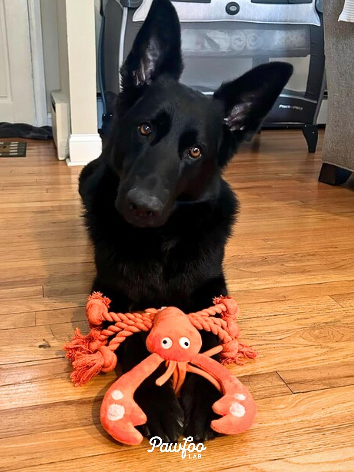 large-squeaky-dog-toys-tough-plush-lobster-with-rope-tug-of-war-for-puppy-small-medium-large-dogs-interactive-stuffed-chew-toy-to-keep-them-busy