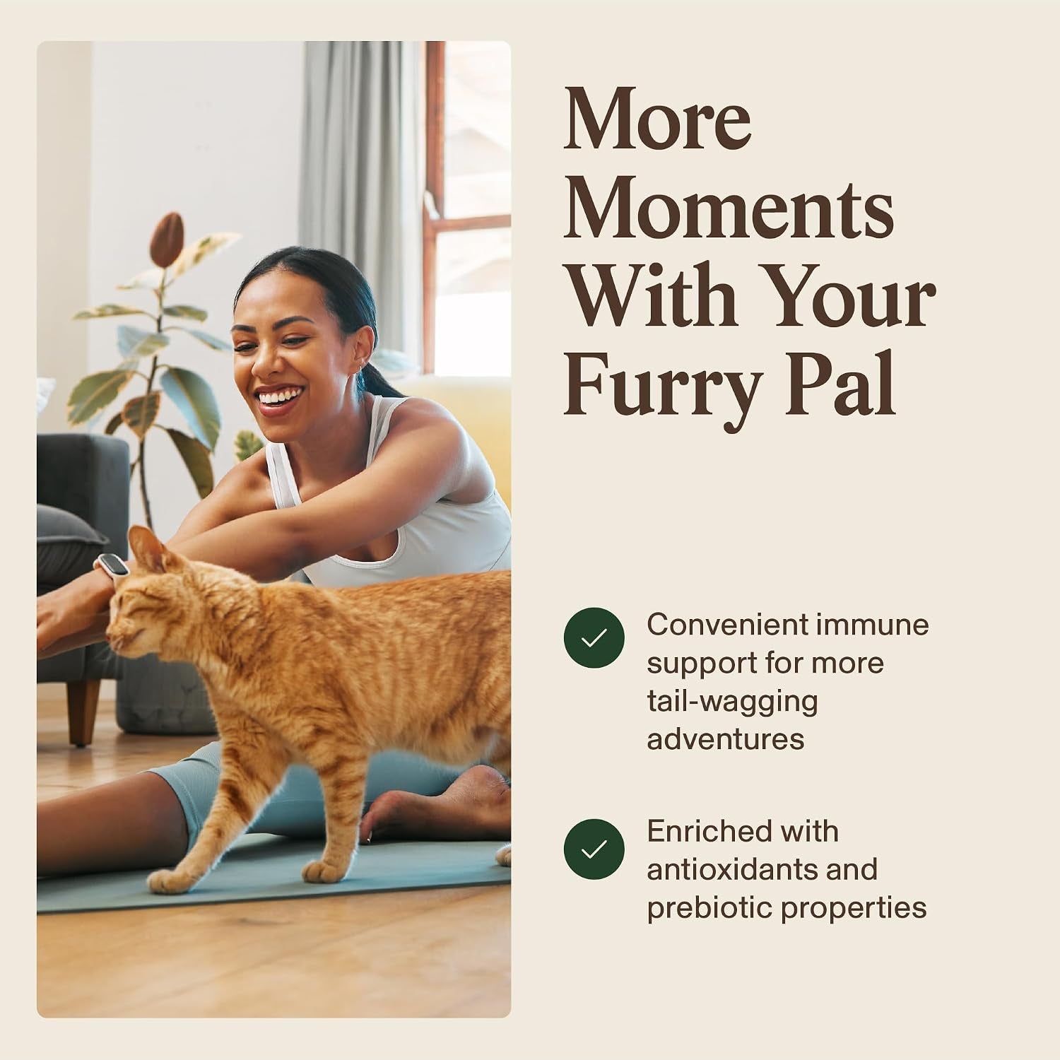 real-mushrooms-turkey-tail-capsules-for-pets-cat-probiotics-dog-vitamins-organic-mushroom-supplement-for-dogs-cats-supports-daily-balance-well-being-non-gmo-90-ct-daily-balance-and-well-being-support-organic-turkey-tail-extract-non-gmo-pet-mushroom-supplement-for-dogs-and-cats