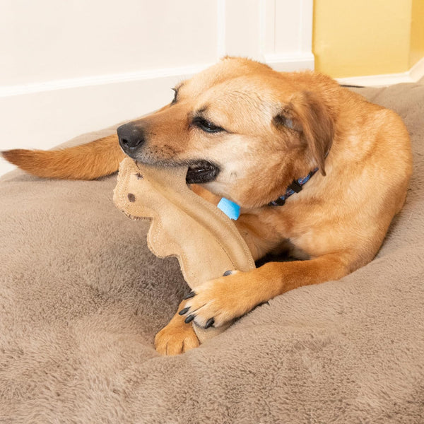 SPOT Dura-Fused Leather Squirrel Dog Toy – Real Leather & Jute Fabric, Double-Stitched & Durable, Soft Stuffed Squeaky Interactive Chew Toy for Moderate Chewers, Small & Medium Dogs, 8In7