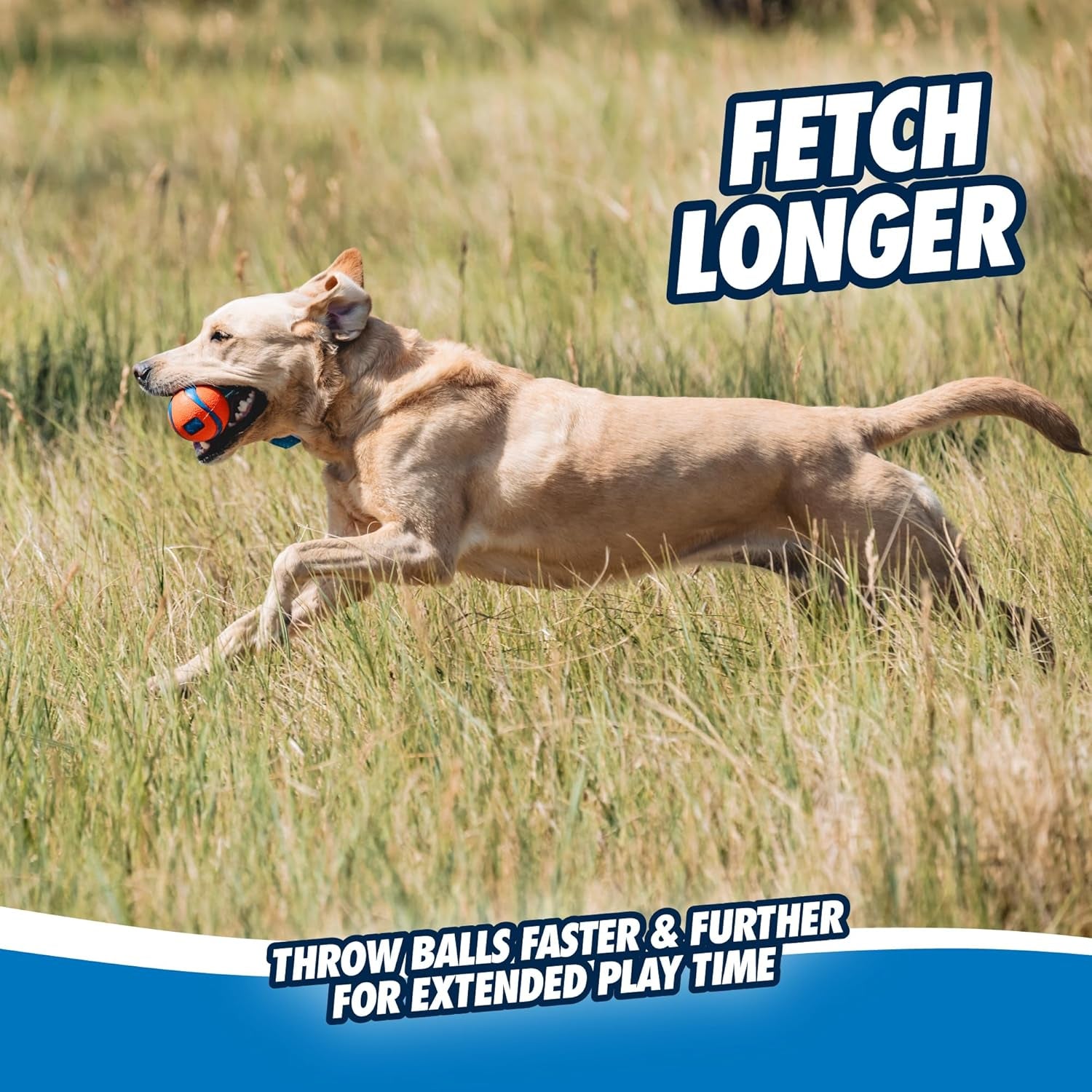 chuckit-ultra-tug-dog-toy-medium-fetch-and-dog-ball-tug-toy-for-dogs-20-60-pounds