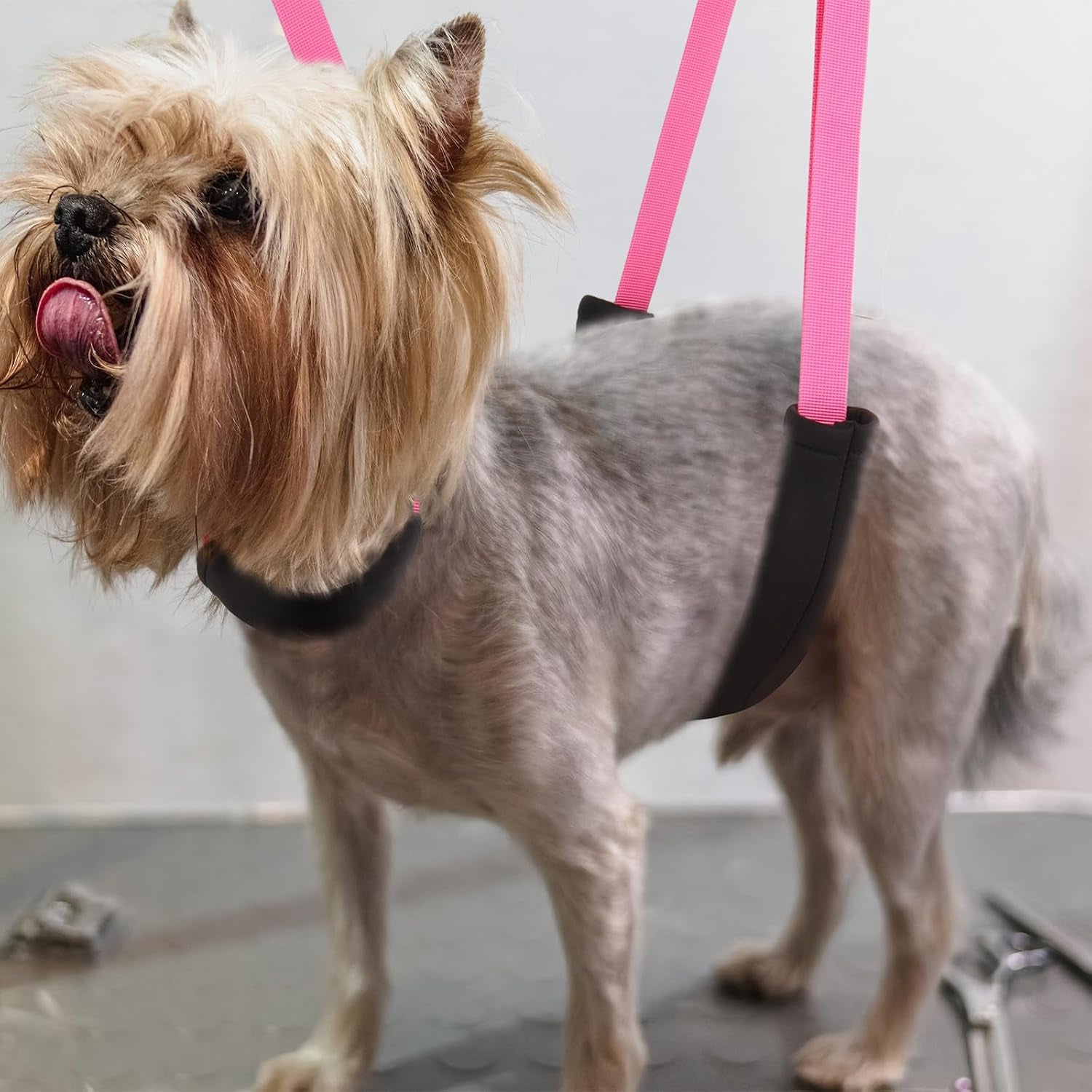 dog-grooming-belly-strap-3pcs-grooming-restraint-set-adjustable-belly-band-loops-strap-with-padded-support-loop-extension-straps-pet-grooming-harness-kit-for-dogs-voilet