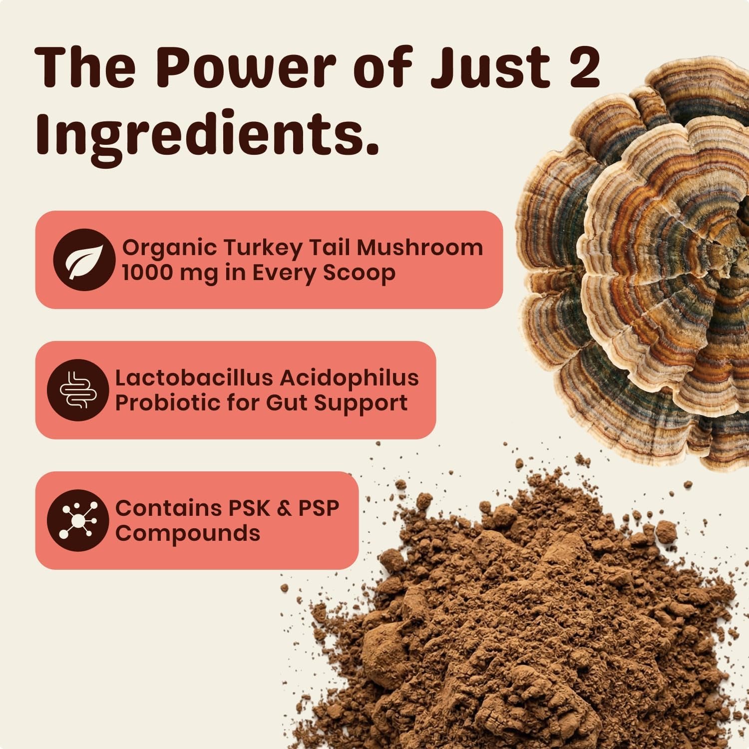 turkey-tail-mushroom-for-dogs-turkey-tail-mushroom-powder-with-probiotics-for-immune-and-digestive-support-supports-lumps-and-bumps-bacon-flavored-daily-dog-supplement