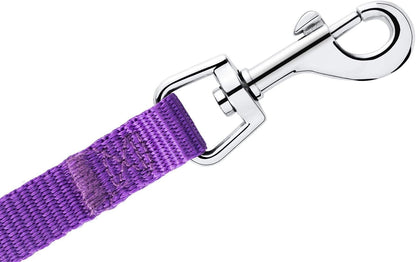 AMAGOOD 6 FT Puppy/Leash, Strong Traditional Style with Easy to Use Collar Hook, Great for Small, Medium and Large Dogs (5/8In X 6 Ft, Purple)5