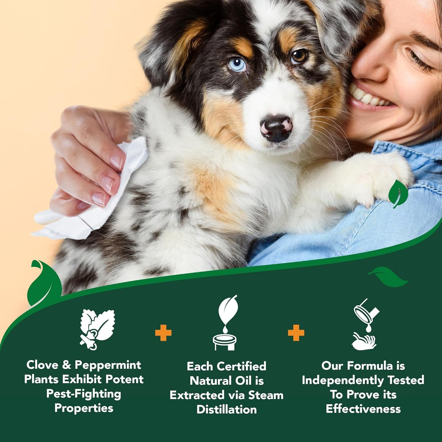 vets-best-flea-tick-wipes-for-dogs-plant-based-pest-control-50-count-plant-based-flea-tick-wipes-essential-oils-helps-control-fleas-ticks-for-dogs-kennels-home-use