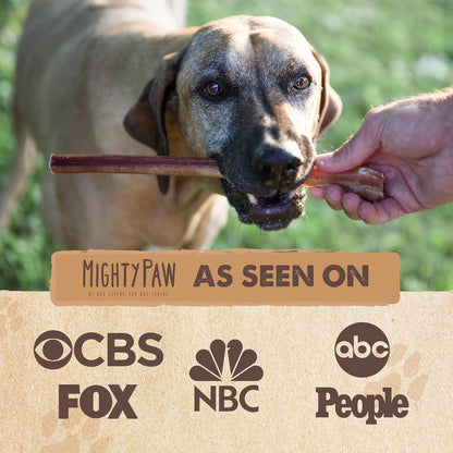 Mighty Paw 12" Bully Sticks for Dogs - Large, Medium and Small Breeds Chew | Single Ingredient, Grass-Fed, Lower Odor, 5 Pack, High Protein, Boredom Buster, All-Natural Sticks5