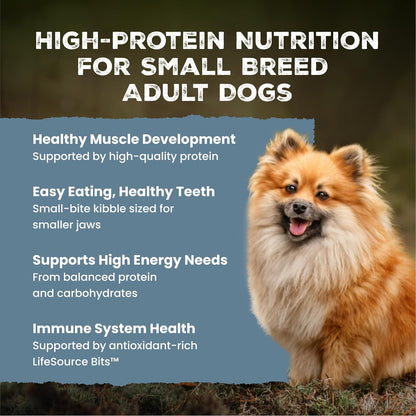 Blue Buffalo Wilderness Chicken Small Breed Adult Dry Dog Food with Wholesome Grains + Antioxidant-Rich Fruits & Veggies, 41G Protein, Supports High Energy Needs, Natural Ingredients, 4.5 Lbs.3