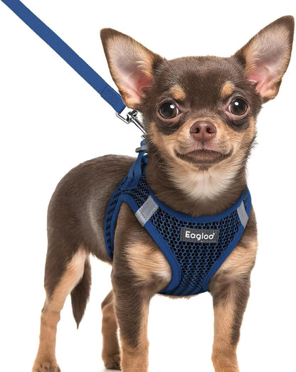Eagloo Small Dog Harness and Leash Set, Step in Small Sized Puppy Pet Vest | Light, Soft, Breathable Air Mesh, Easy on and off with Hook & Loop, Reflective for Safe Walking, Pink, S34