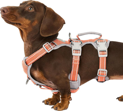 Huntboo Escape Proof Harness, No Slip Dog Harness Escape Proof, Fully Reflective Harness with Handle, Breathable, Durable, Adjustable Vest for Medium Dogs Walking and Training Gear (Black, M)27