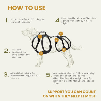 Help 'Em Up® - Dog Lift Harness│ Adjustable Lifting Harness for Dogs │ Full Body Support, Rear Leg Support (Conventional, Medium, 45-80 Lbs)3
