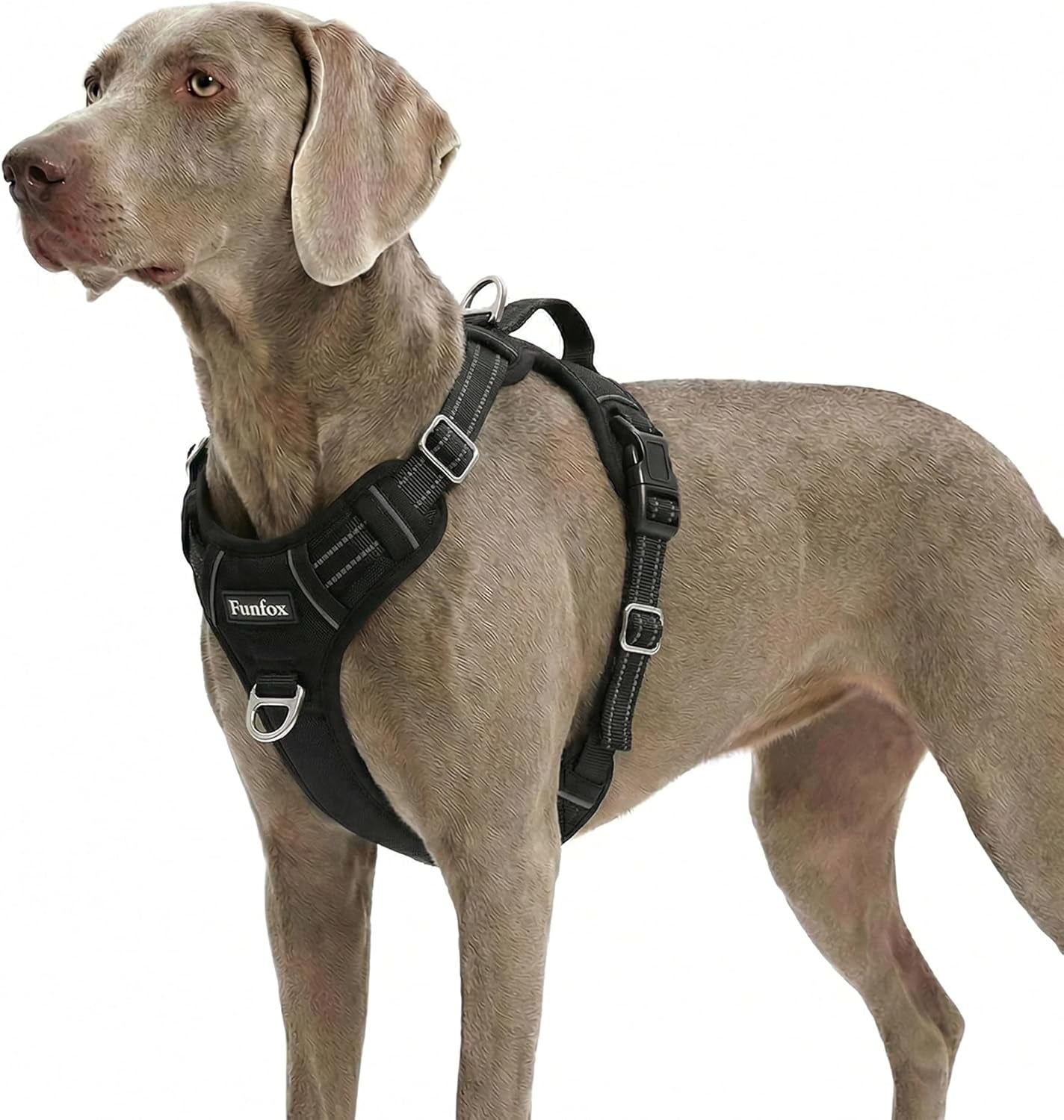 funfox-dog-harness-medium-sized-dog-vertical-handle-easy-control-no-pull-pet-vest-adjustable-with-2-leash-clips-soft-material-reflective-safe-night-walking-for-small-medium-large-breed-black-m