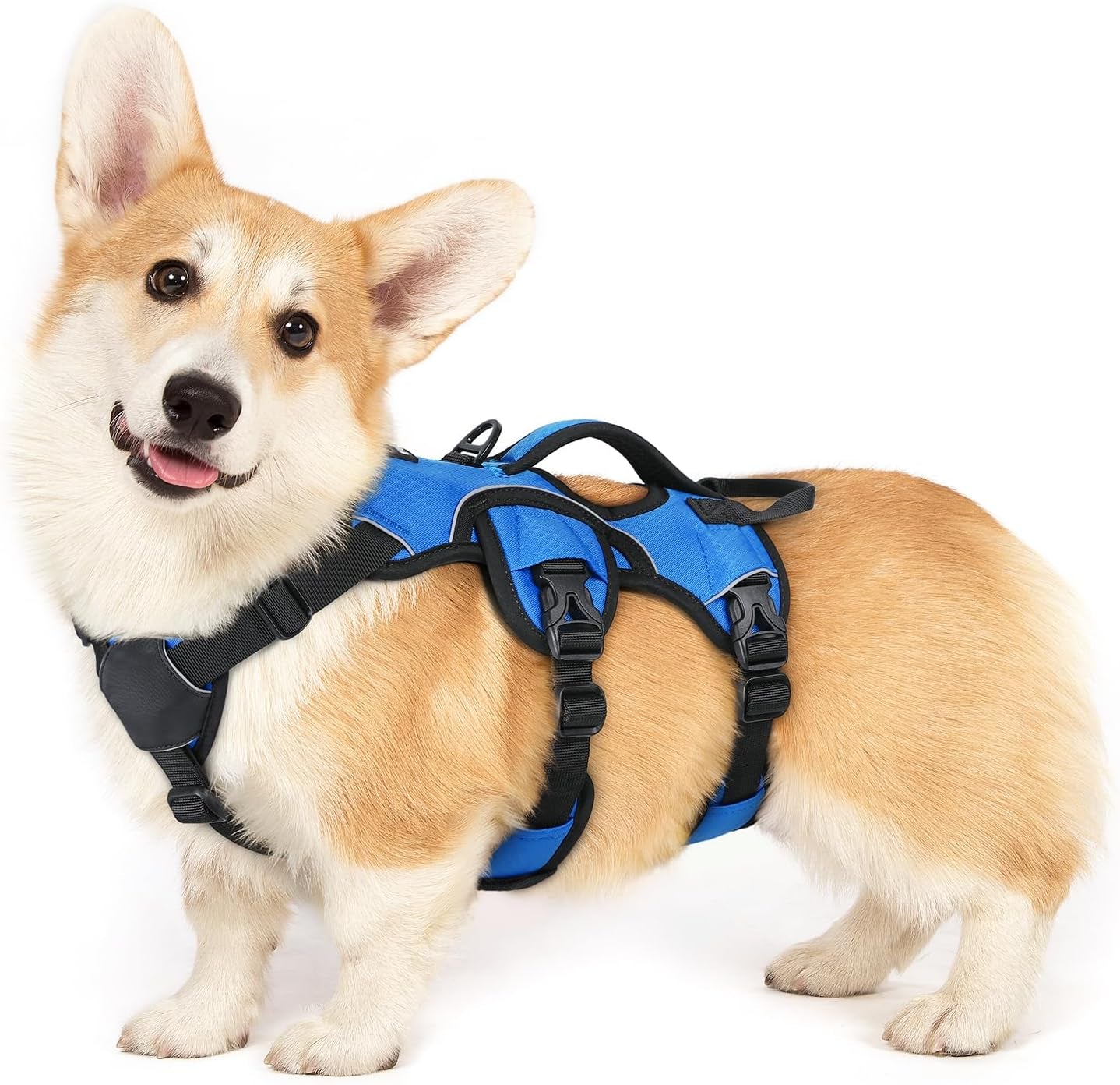 rabbitgoo-escape-proof-dog-harness-for-large-no-pull-with-lift-handle-no-escape-full-soft-padded-reflective-adjustable-vest-leash-clip-for-walking-hiking-training-black-large