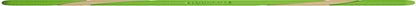Chuckit! Max Glow Ultra Fetch Stick Outdoor Dog Toy, 12 Inches, for All Breed Sizes3