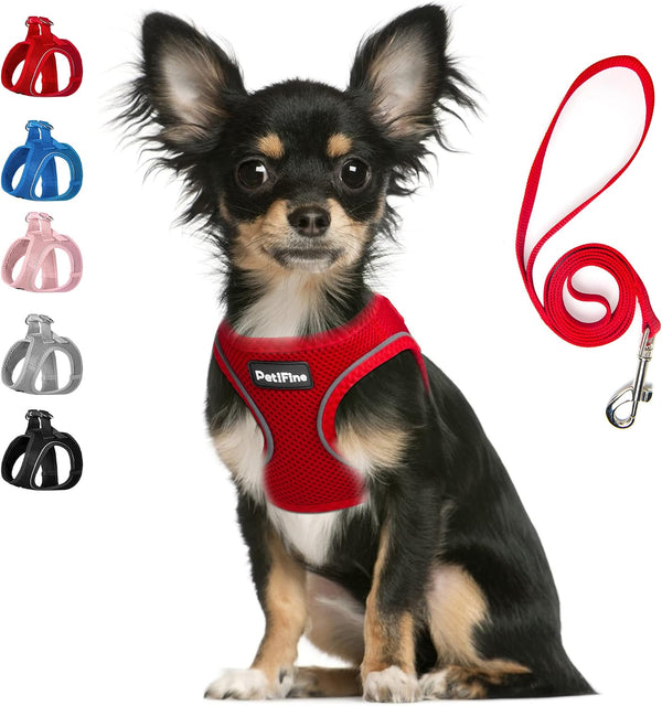 Small Dog Harness and Leash Set Breathable Step-In Puppy Cat Harness,Xs | Reflective for Safe Easy Walking,Soft Light Puppy Vest,Escape Proof,No Pull Harness for Dogs,All Weather Air Mesh Harness19