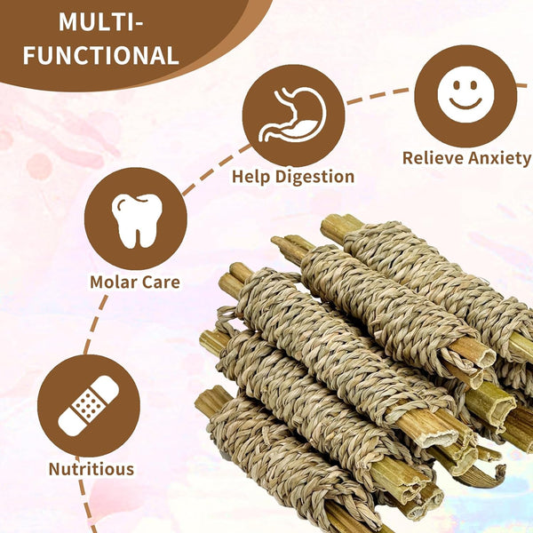 Fhiny 12 PCS Rabbit Chew Sticks, Natural Papaya Wood Seagrass Guinea Pig Chew Toys for Teeth Small Animal Molar Sticks Snacks for Bunny Guinea Pig Chinchilla Ferret Hamster Gerbil Dental Care6