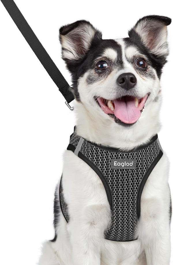 Eagloo Small Dog Harness and Leash Set, Step in Small Sized Puppy Pet Vest | Light, Soft, Breathable Air Mesh, Easy on and off with Hook & Loop, Reflective for Safe Walking, Pink, S27