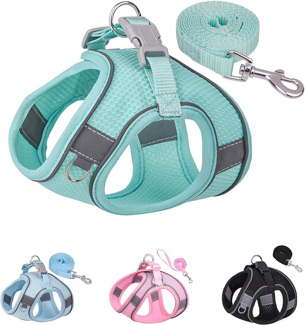 SOLMOONY Dog Harness for Small Medium Large Dogs No Pull, Puppy and Leash Set, Dogs, Step in Harness, Mesh Harness. (Pink, XS)11