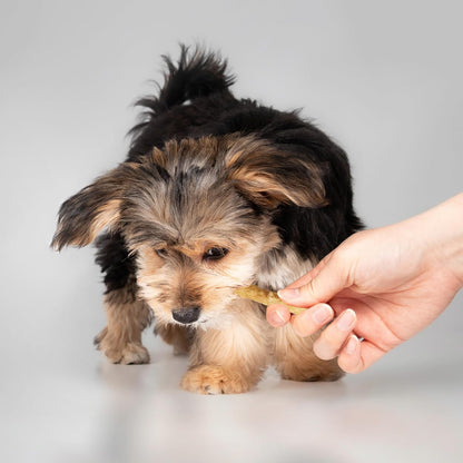 Fieldcrest Farms Nothin' to Hide Twist Stix, Beef Flavor, Easily Digestible, Supports Skin, Coat, Joints & Muscles, for Moderate Chewers under 15Lbs, 50 Pieces11